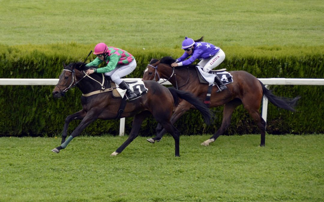 What are the top 3 sports that hundreds of millions of people bet on every week?