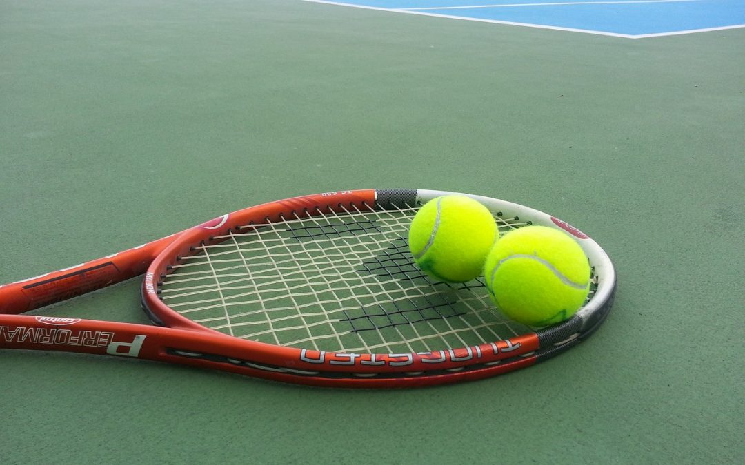 The Ins and Outs of Sports Betting for Beginners – Which Sport Should You Choose?